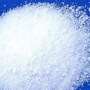 公司建立長達(dá)10年